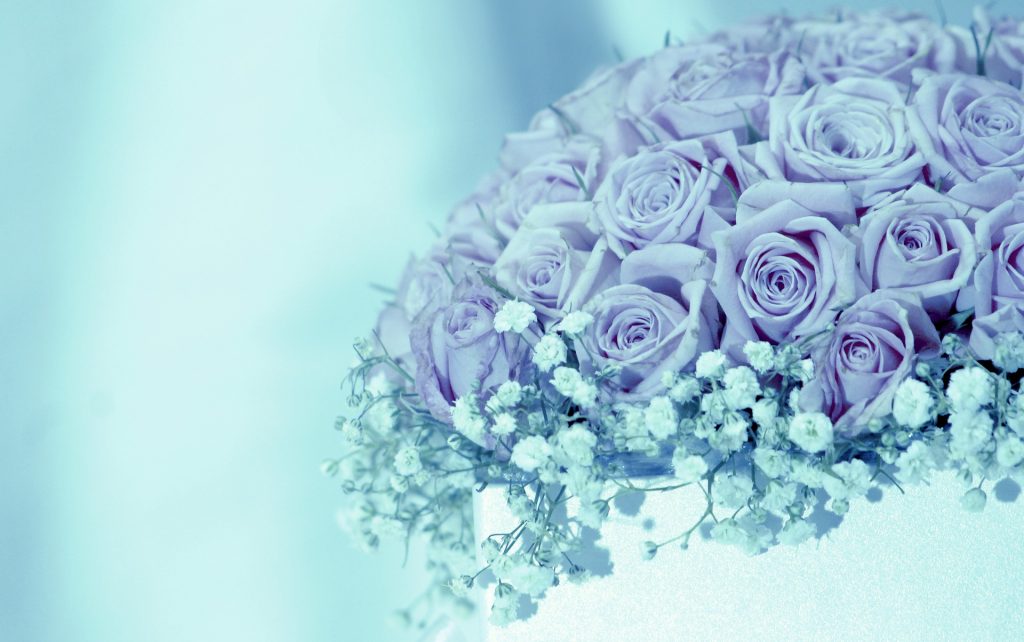 periwinkle blue rose bouquet with baby's breath on aqua blue background